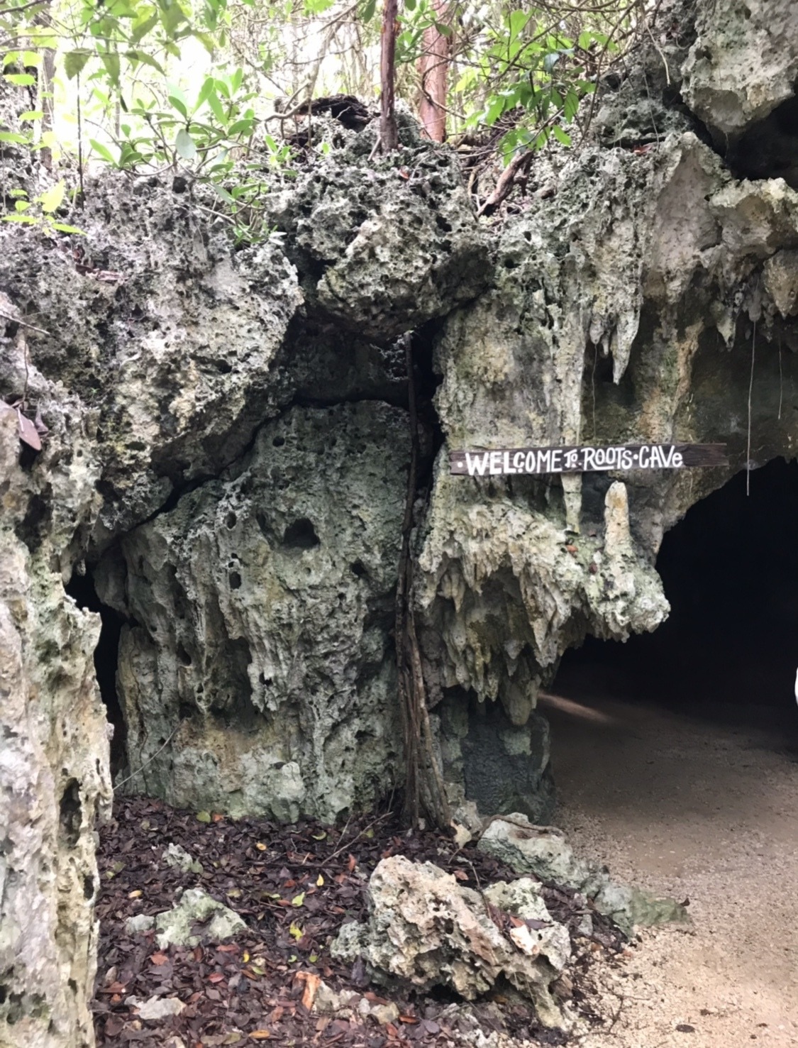 cayman crystal caves