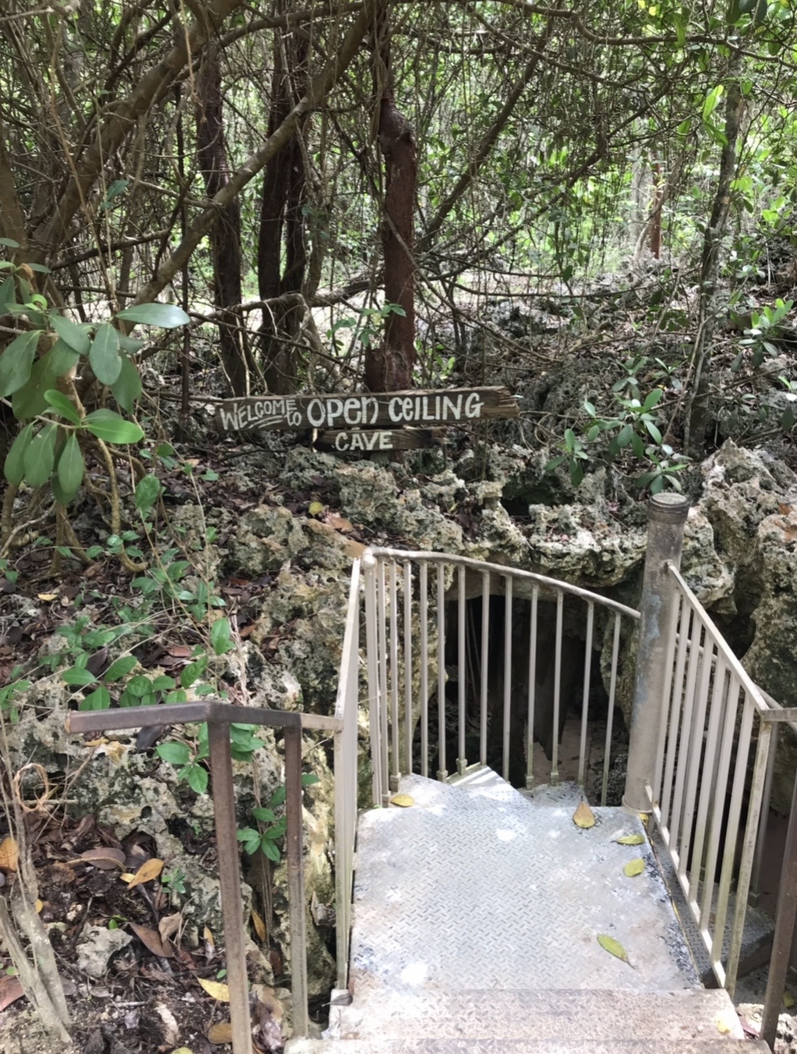 cayman crystal caves