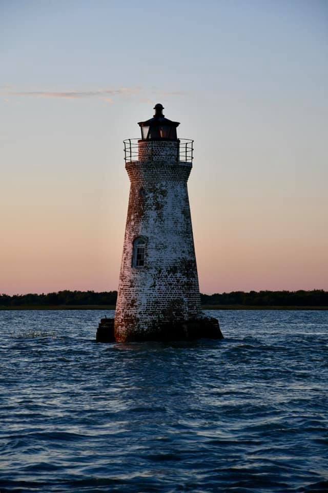 Dolphin Cruise Tybee Island