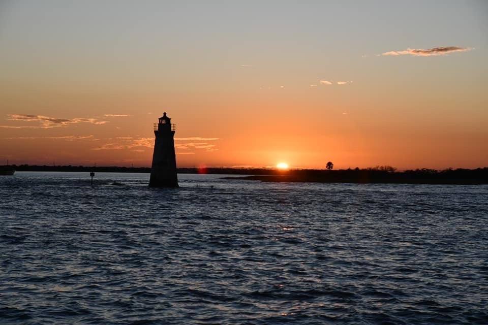 Dolphin Cruise Tybee Island